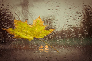 driving in the fall season