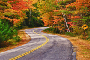 fall safety driving tips