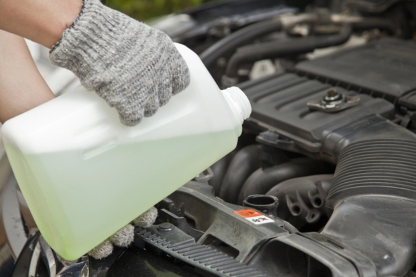 image of a coolant being poured in a car to prepare car for winter