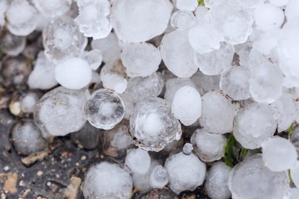 A pile of large hail on the ground from a summer hailstorm