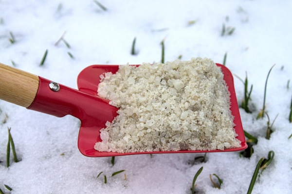 red shovel full of road salt